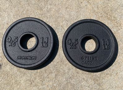 0.5kg weight plates (28mm)