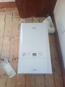 Gas Boiler & Flu