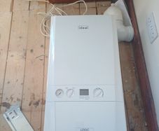Gas Boiler & Flu