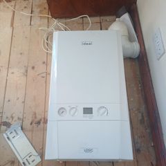 Gas Boiler & Flu