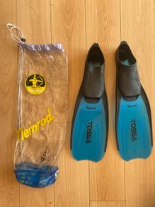Flippers