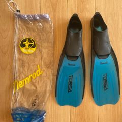 Flippers