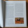 Landor Legends. Celebrating 100 Years Of The Eastern Gascoyne Race Club. By Lucy Brownlie. First Edition Large Volume Paperback In Good Condition.  See Photos For Same. Image 5