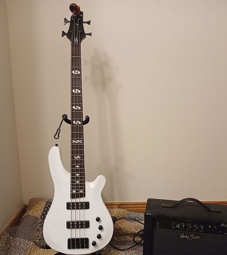 Bass Amp Effects Pedal looper
