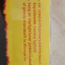 Ten Speed Racer CD - Eskimo Beach Boy Image 2