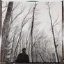 Taylor Swift  Evermore 2 x Vinyl, LP, Album, Deluxe Edition, Stereo, Opaque Green Image 4