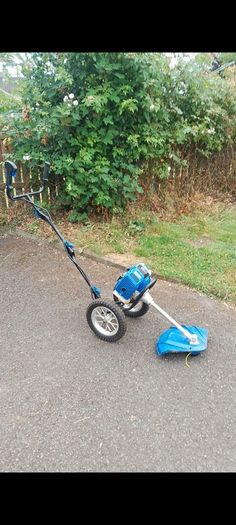 Strimmer
