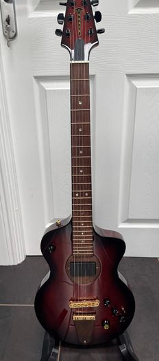 Rick Turner Model 1 C -LB