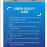 Carrera Road Bike Image 6