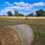 Organic oaten straw Image 2