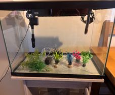 Aqua One Aquarium 75 litre with Cabinet, Heater, Light & Filter