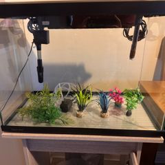 Aqua One Aquarium 75 litre with Cabinet, Heater, Light & Filter