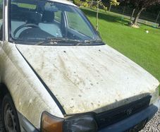 1990 Toyota Starlet