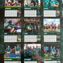 Official Irish Rugby 2026 A3 Wall Calendar (New & Sealed) Image 4