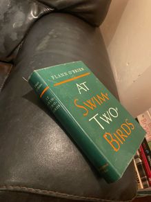 Hardback Flann O'Brien - At Swim Two Birds