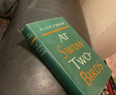 Hardback Flann O'Brien - At Swim Two Birds