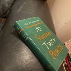 Hardback Flann O'Brien - At Swim Two Birds