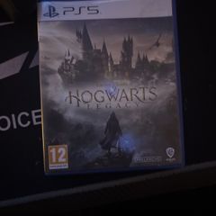 Hogwarts legacy