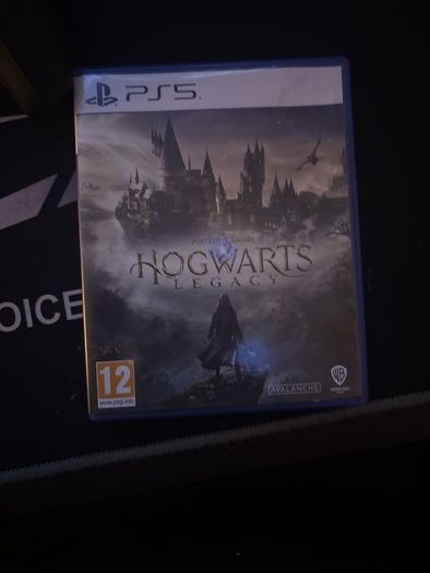 Hogwarts legacy