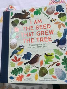 children book