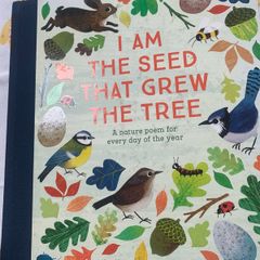 children book