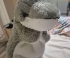 Hand Puppets. Bnwt