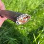 12m outdoor shielded electrical cable Image 2