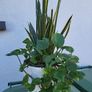 Indoor planter Image 2