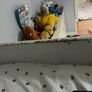 bunk bed Image 6