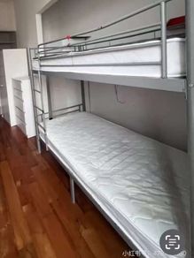 bunk