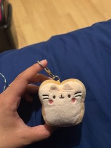 Pusheen surprise box keychain food
