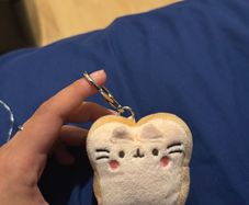 Pusheen surprise box keychain food
