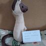 Jellycat Iris Siamese Cat BNWT Image 2
