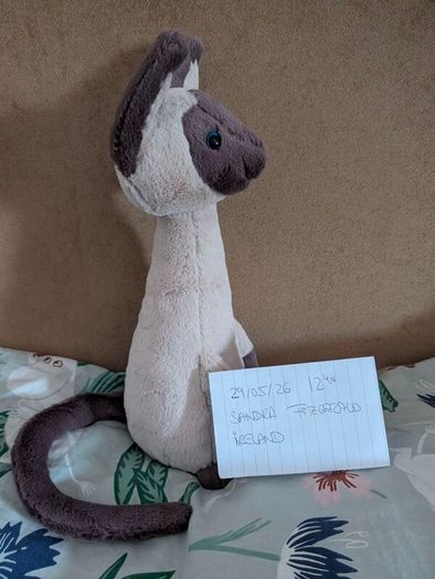 Jellycat Iris Siamese Cat BNWT