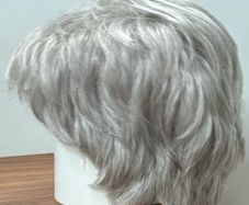 Ellen Wille high-end wig