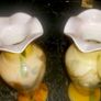 Pair of stunning Murano vase Image 3