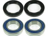 Wheel Bearing & Seal Kit Rear Allballs 25-1314 Yfs200 Yamaha