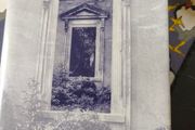 The Anglo Irish Novel and the Big House by Vera Kreilkamp