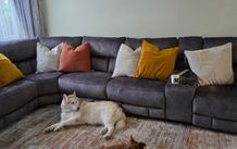 Corner Sofa
