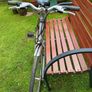 Ladies Bike Image 3