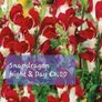 Snapdragon seeds from 1.00 euro per pack Image 2