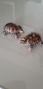 "Wade" Collectables