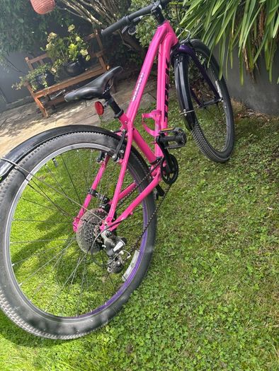 Trek 26 Bike