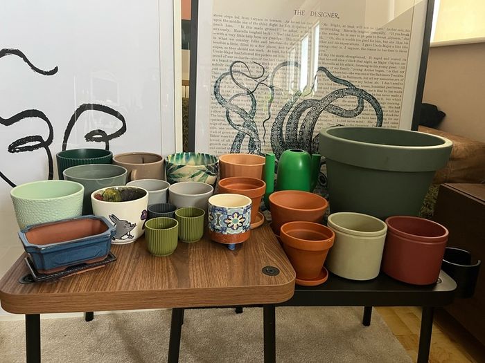Large Job Lot of Indoor/Outdoor Plant Pots & Accessories 20 Pieces