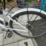 Woman bicycle Image 4