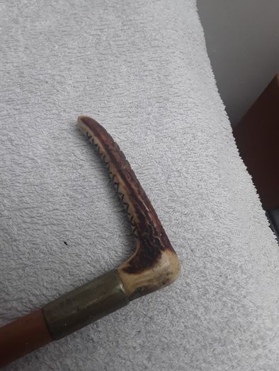 Horse Riding Crop