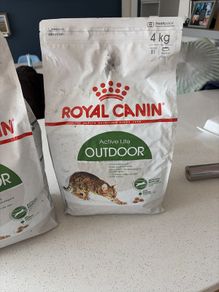 cat food