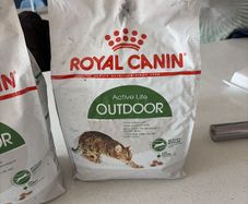 cat food