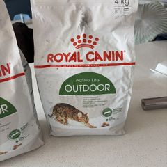 cat food
