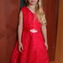 New Girls Party Flower Formal Wedding Bridesmaid Pageant Prom Christening Dress Age 14yrs Image 4